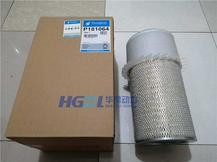 Air filter P181064