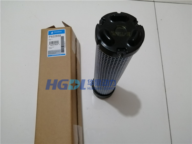 Air filter P822858