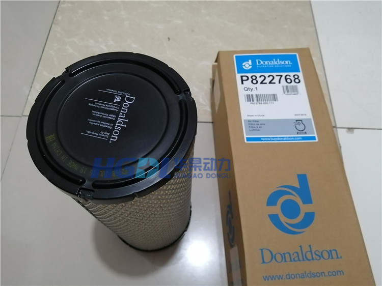 Air filter P822768