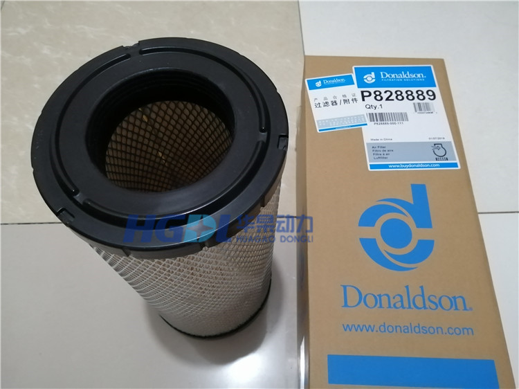 Air filter P828889